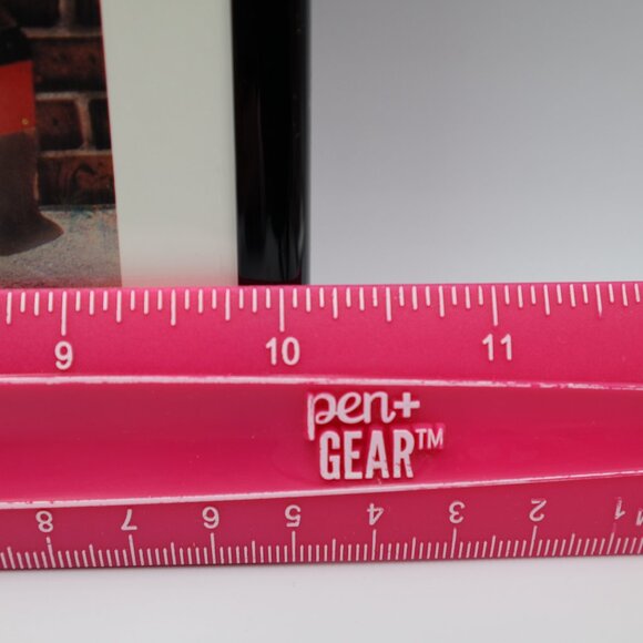 Future Champions Chicago Bulls 1996 Jordan,Pippen,Rodman,Harper,Kerr. By S Dean - Picture 6 of 9